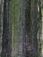 Dock Wall Slime